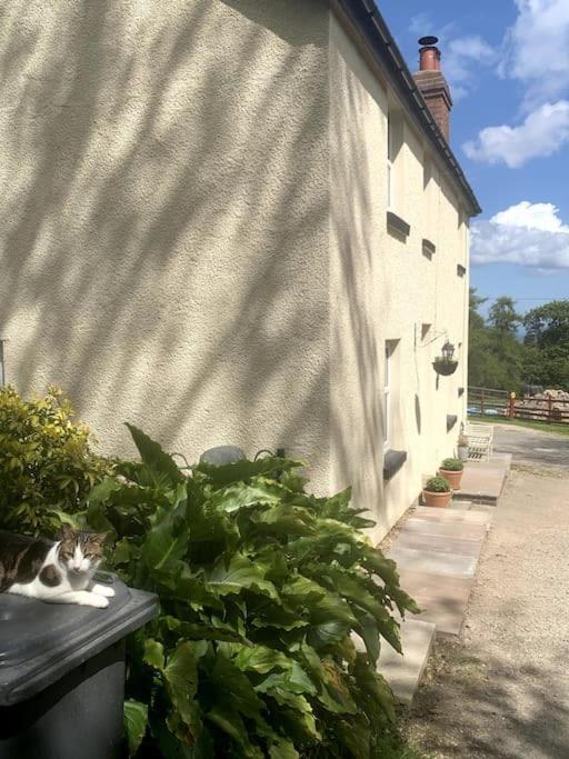 Cosy Two Bedroom With Fireplace Holiday home Colwyn Bay