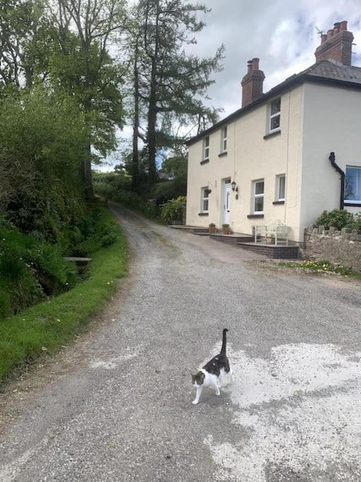 Cosy Two Bedroom With Fireplace Holiday home *