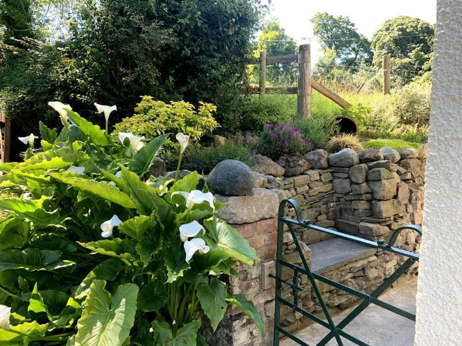 Cosy Two Bedroom With Fireplace * Colwyn Bay